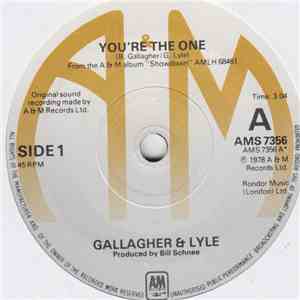 Gallagher & Lyle - You're The One download flac mp3