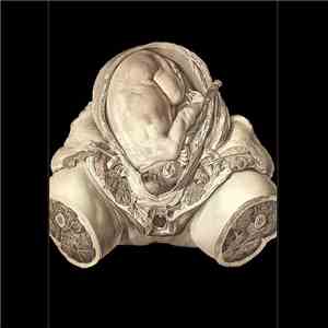 Orcustus - Orcustus download flac mp3