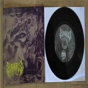 Putrified J - Kill The Living download flac mp3