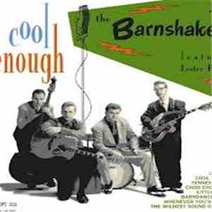 The Barnshakers - Cool Enough download flac mp3