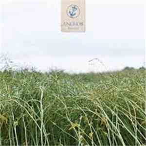 Anchor  - Recovery download flac mp3