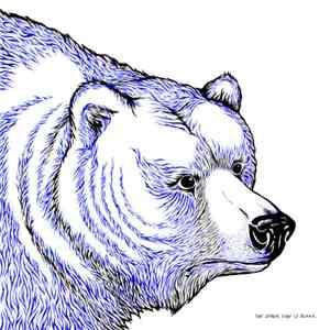 irr. app. (ext.) - The Other Side Is Blank download flac mp3