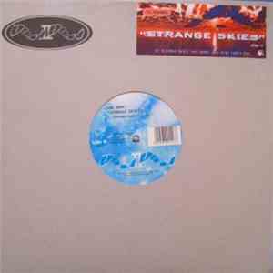 Mr. Dan - Strange Skies download flac mp3