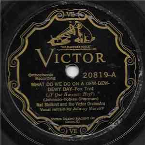 Nathaniel Shilkret And The Victor Orchestra, Johnny Hamp's Kentucky Serenaders - What Do We Do On A Dew-Dew-Dewy Day / Is It Possible? download flac mp3