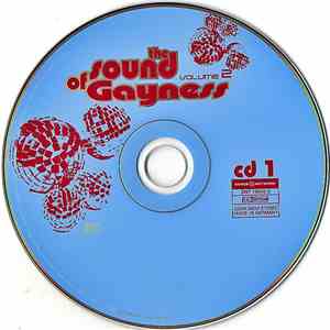 Various - The Sound Of Gayness (Volume 2) download flac mp3