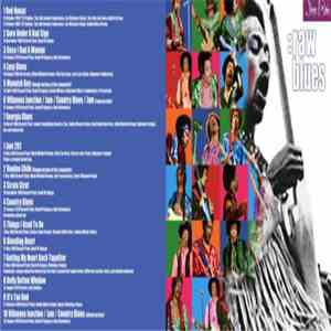 Jimi Hendrix - Raw Blues (Blues Outakes) download flac mp3