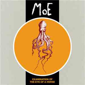 MoE - Examination Of The Eye Of A Horse download flac mp3
