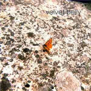 Velvet Belly - Velvet Belly download flac mp3