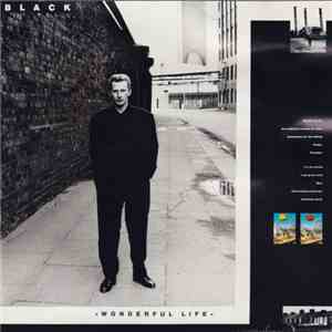 Black  - Wonderful Life download flac mp3