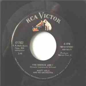 Marty Gold And His Orchestra - The Breeze And I download flac mp3