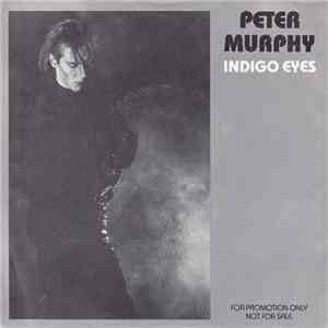Peter Murphy - Indigo Eyes download flac mp3