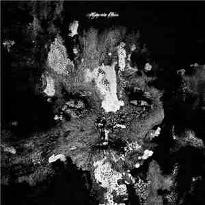 Various - Memento Mori download flac mp3