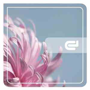 Alex Medina - Kong Island EP download flac mp3