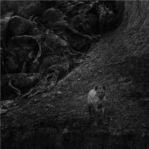 FRQ NCY - Snake Skin / Among The Mist download flac mp3
