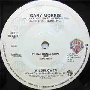 Gary Morris - Wildflower download flac mp3