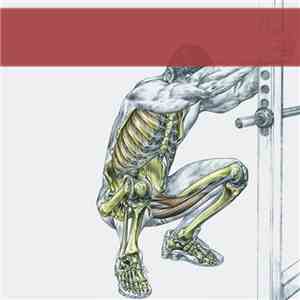 Jon McMillion - Jon McMillion LP download flac mp3