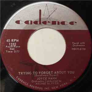Joyce Hahn - Trying To Forget About You download flac mp3