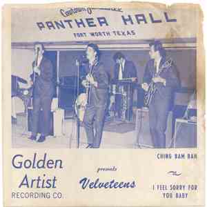 Velveteens - Ching Bam Bah download flac mp3