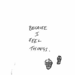 Vuurwerk  - Because I Feel Things download flac mp3
