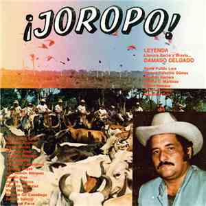 Damaso Delgado - ¡Joropo! (Leyenda Llanura Recia Y Bravia) download flac mp3