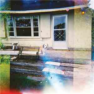 夕方の犬 = Dog In The Evening - Low Temperature Room download flac mp3