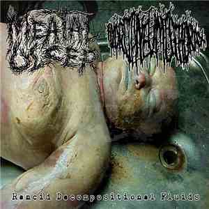 Meatal Ulcer / Hydropneumothorax - Rancid Decompositional Fluids download flac mp3