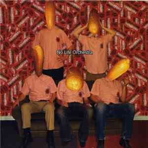 No Life Orchestra - No Life Orchestra download flac mp3
