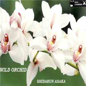 Shidarun Asaka - Wild Orchid download flac mp3