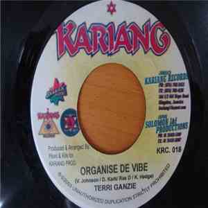 Terri Ganzie / U. T. RAS - Organise De Vibe / Way She Trod download flac mp3