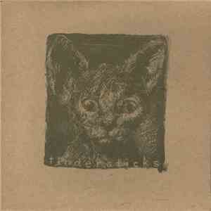 Tindersticks - Kathleen download flac mp3