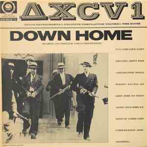 Various / Recorded And Compiled By James Luther Dickinson - Delta Experimental Projects Compilation Vol 1. The Blues - ΔXCV 1 Down Home download flac mp3