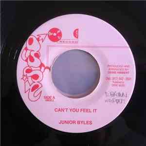 Junior Byles - Can't You Feel It download flac mp3