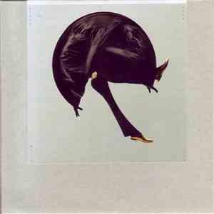 Black Devil Disco Club - Black Moon White Sun download flac mp3