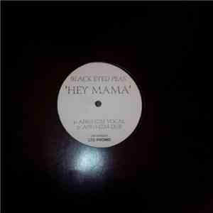 Black Eyed Peas - Hey Mama download flac mp3