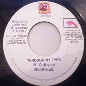Delon Reid - Through My Eyes flac mp3 download