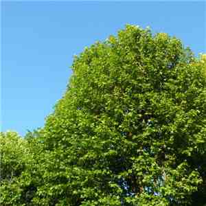 Kowä Axis - 1603 Hillcrest EP download flac mp3