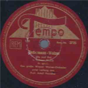 Das Große Wiener Walzer-Orchester Unter Leitung Von Prof. Adolf Pauscher - Fledermaus-Walzer / Kaiserwalzer download flac mp3