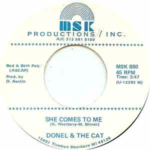 Donel & The Cat - Sad Country Songs download flac mp3