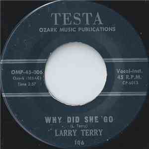Larry Terry - Why Did She Go download flac mp3