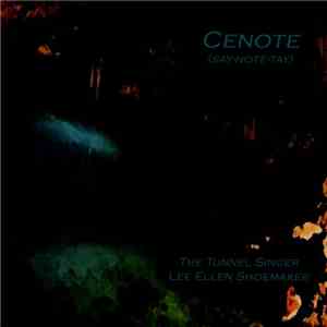 The Tunnel Singer - Cenote download flac mp3