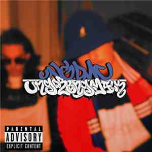 UNG DMC - UNGDRENGMÆLK download flac mp3