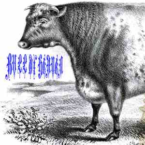 Bull Of Heaven - A Violet Breath download flac mp3