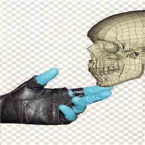 Daytime Television - Youth With Skull I&II flac mp3 download