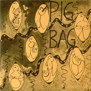 Pig Bag - Papa's Got A Brand New Pigbag download flac mp3