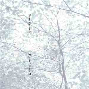 Secret Pyramid - Distant Works II download flac mp3