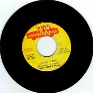 Skin, Flesh & Bones - Bone Yard download flac mp3