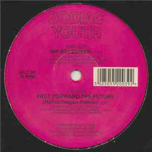 Zodiac Youth - Fast Forward The Future (Hallucinogen Remix) / Mr Redeemer (Elysium Remix) download flac mp3
