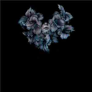 A Lot Like Birds - Divisi download flac mp3