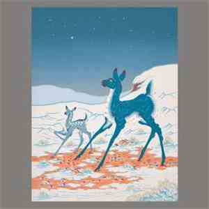 Tortoise & Bonnie 'Prince' Billy - The Brave And The Bold download flac mp3