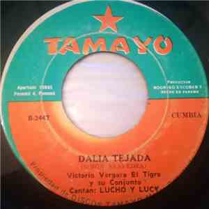 Victorio Vergara El Tigre Y Su Conjunto - Gloria Solis / Dalia Tejada download flac mp3